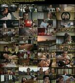 Ero.shogun.to.nijuichi.nin.no.aisho.Norufumi.Suzuki.1972-[+18].DVDRip.x264-worldmkv