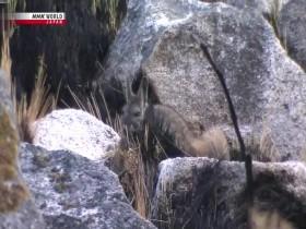 The Great Summits S01E02 Huascaran Seeking Cities of Gold 480p x264-mSD [eztv]