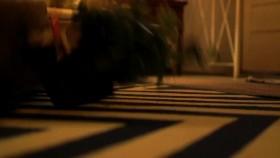 On the Case with Paula Zahn S17E19 Blood Secrets WEB x264-CAFFEiNE [eztv]