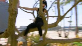 The Challenge Champ vs Stars S03E09 WEB x264 TBS eztv