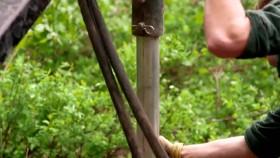 Building Alaska S09E01 Shaky Ground WEB x264-CAFFEiNE [eztv]