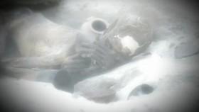 Egypts Unexplained Files S01E06 Finding Nefertiti PROPER 720p WEB x264-CAFFEiNE [eztv]