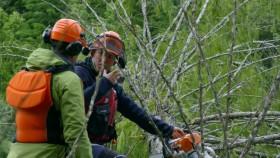 Ben Fogle New Lives in the Wild S05E04 Canada 720p HDTV x264-UNDERBELLY [eztv]