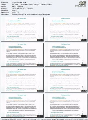 Udemy - Mega course for English fluency and grammar