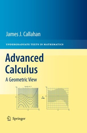 [ FreeCourseWeb ] Advanced Calculus- A Geometric View
