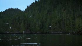 Port Protection S05E06 Eyes of the Forest WEB x264-CAFFEiNE [eztv]