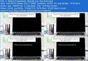 Udemy - Use Outsourcing and Delegation to Run Your Business