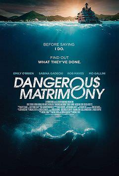 Dangerous Matrimony 2018 HDTV x264 TTL