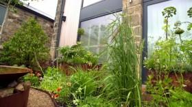 Grow Your Own at Home with Alan Titchmarsh S01E06 HDTV x264-LiNKLE [eztv]