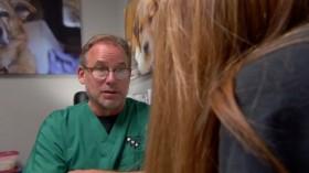 Dr Jeff Rocky Mountain Vet S06E02 A Brave Little Dog WEBRip x264-CAFFEiNE [eztv]