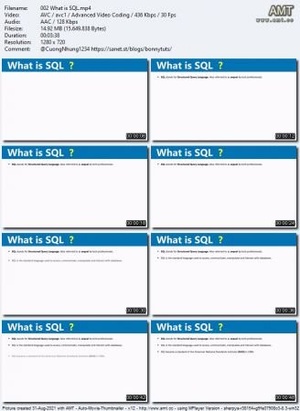 Udemy - SQL Data Analyst - SQL , Microsoft SQL, PostgreSQL, MySQL