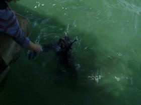 Bering Sea Gold S12E04 Shift Happens 480p x264-mSD [eztv]