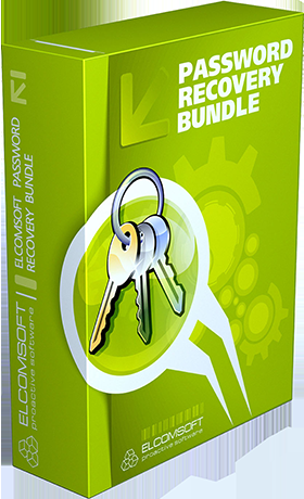 Password Recovery Bundle 2019 Enterprise v5.2 Retail + Keygen - [haxNode]