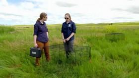 Prehistoric Road Trip S01E01 720p HEVC x265-MeGusta [eztv]