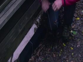 Unnatural Selection US S01E03 480p x264-mSD [eztv]