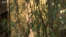 Garden Rescue S05E00 Top of the Plots Part 3 Therapeutic Gardens WEB h264-WEBTUBE [eztv]
