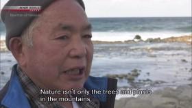 NHK Documentary S2020E22 Bearman of Hokkaido 720p WEB-DL AAC2 0 H 264- [eztv]