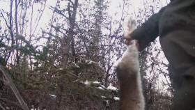 Alone S07E08 Up in Smoke 720p HEVC x265-MeGusta [eztv]