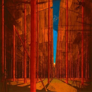 [ambient, classical] (2020) Martin Kohlstedt - FLUR [FLAC] [DarkAngie]