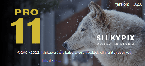 SILKYPIX Developer Studio Pro 11.0.2.0 + fix (DeGun)