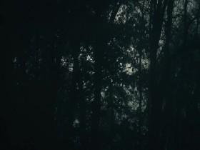 Hometown Horror S01E06 Satanic Swamp 480p x264-mSD [eztv]