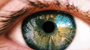 [ FreeCourseWeb ] Udemy - Learn OpenCV in 2 Hours with 6 Hands-On Projects in 2020