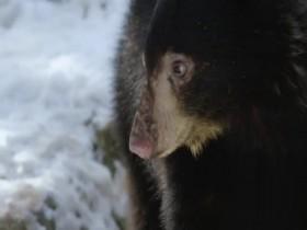 Americas Mississippi S01E01 The Headwaters 480p x264-mSD [eztv]