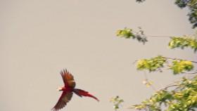 Empire Games S01E06 720p WEB x264-CRiMSON [eztv]