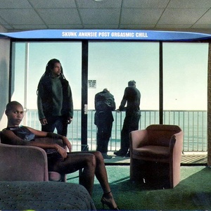 Skunk Anansie - Post Orgasmic Chill (1999 Rock) [Flac 16-44]