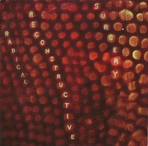 John Medeski, Matthew Shipp - Scotty Hard's Radical Reconstructive Surgery (2006) [EAC-FLAC]