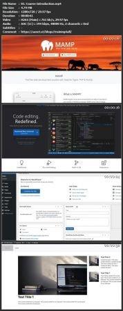 Skillshare - Intro to WordPress Development and Custom Theme Creation