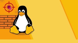 [ DevCourseWeb ] Udemy - Linux Performance Tuning - Hands On !!