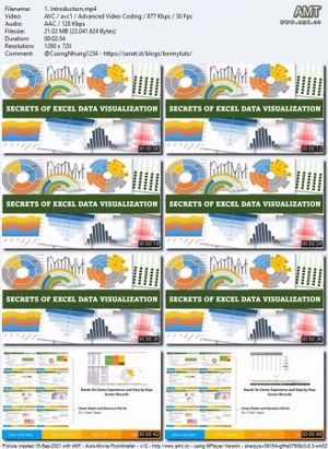 Udemy - Secrets of Excel Data Visualization Excel Charts & Graphs
