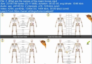 Anatomy Crash Course Muscles, Bones, the Heart & the Lungs
