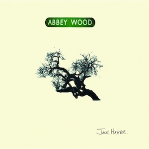 indie folk 2018 Jack Hayter Abbey Wood FLAC Tracks 100 XY