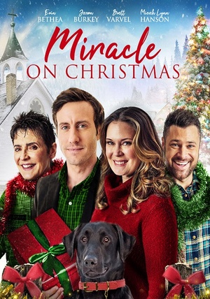 Miracle on Christmas 2020 720p AMZN WEBRip (DDP 2.0) X264-Solar