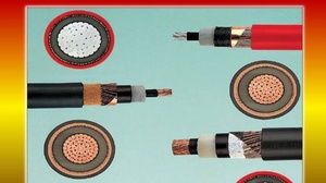 [ FreeCourseWeb ] Electrical Power Cables (Design & Specifications)
