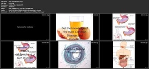 Udemy - Doctor of Natural Medicine