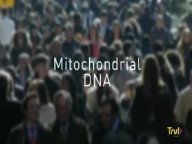 Legend Hunter S01E04 480p x264-mSD [eztv]