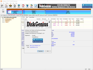 DiskGenius Professional v5.4.0.1124 (x86/x64) Portable [FTUApps]