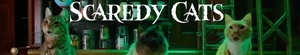 Scaredy.Cats.S01.COMPLETE.720p.NF.WEBRip.x264-GalaxyTV