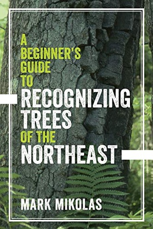 [ FreeCourseWeb ] A Beginner's Guide to Recognizing Trees of the Northeast