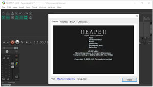 Cockos REAPER v6.36 (x64) Portable [FTUApps]