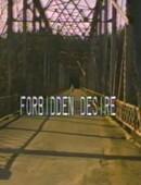 ForbIdden.DesIre.1982.DVDRip.x264-worldmkv