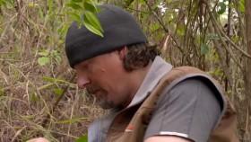 Monster Encounters S01E08 Mega Sloth WEB x264-CAFFEiNE [eztv]