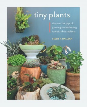 [ DevCourseWeb ] Tiny Plants - Discover the joys of growing and collecting itty-bitty houseplants