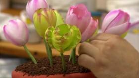 Cake Boss S01E03 Bunny Birthday and Burnt Food INTERNAL WEB x264-GIMINI [eztv]