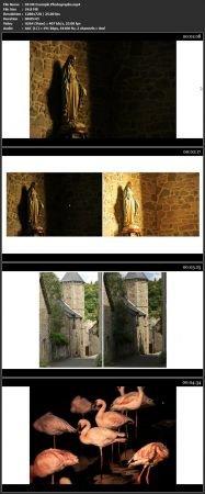 Udemy - Light & Exposure in Photography