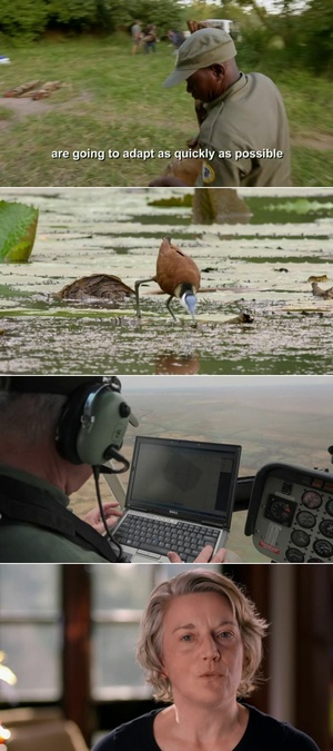 NOVA.S47E15.Natures.Fear.Factor.480p.x264-ZMNT