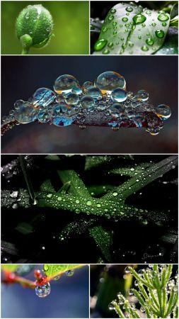 DesignOptimal - Water Drop wallpapers (Part 4)